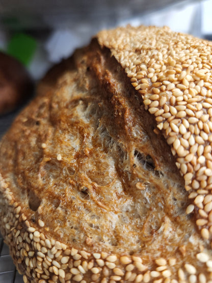 Caraway Seeded Sourdough - Pre-Order Christmas